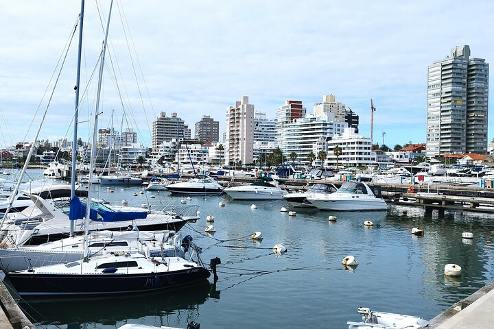 Full Day Private Tour to Punta del Este - Photo 1 of 25