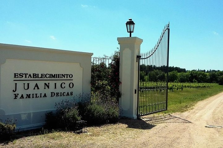 Juanico Wine Tour Lunch - Photo 1 of 6