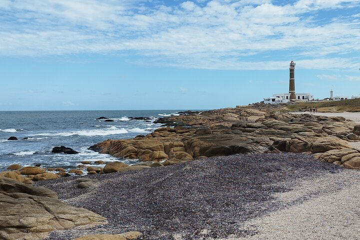 Private Tour to Cabo Polonio for the day - Photo 1 of 15