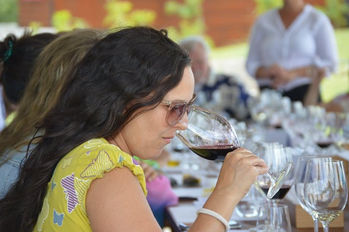 Private Wine Tours by Wine Explorers Uruguay - Photo 1 of 13