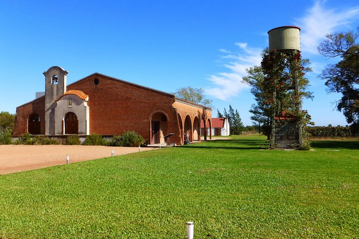 Wine cellar & tasting in Montevideo