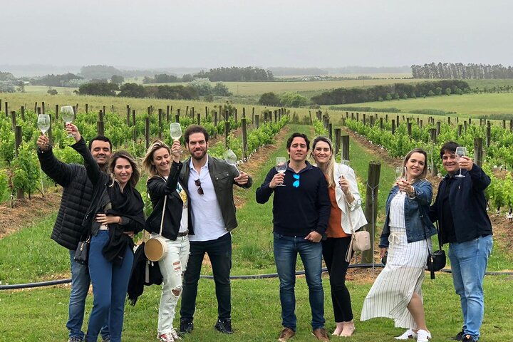 Wine Lovers - Colonia Wine Experience!  - Photo 1 of 25