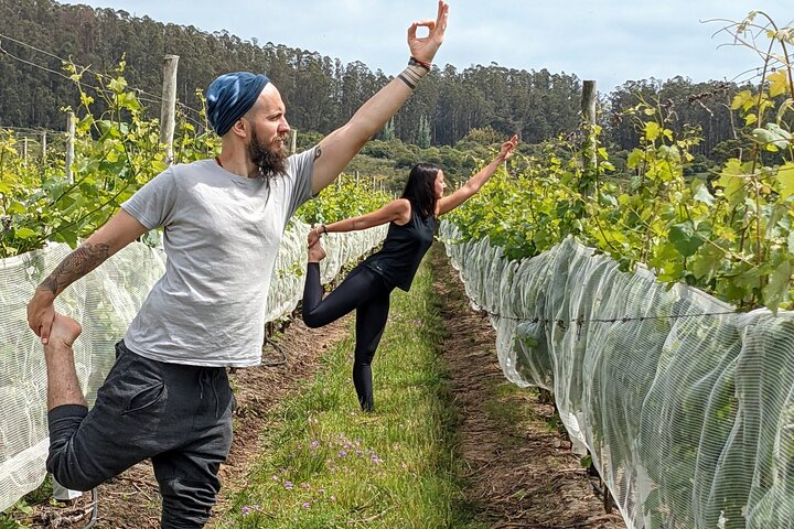 Yoga in vineyards and Brunch - Photo 1 of 5