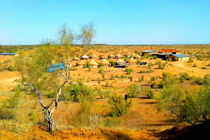 Aydarkul and Nurata Tour (1 Night 2 Days) - Photo 1 of 6