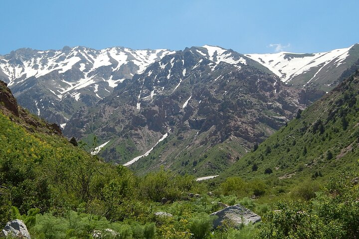 Day Tour to Shahrisabz of Amir Timur - Photo 1 of 7