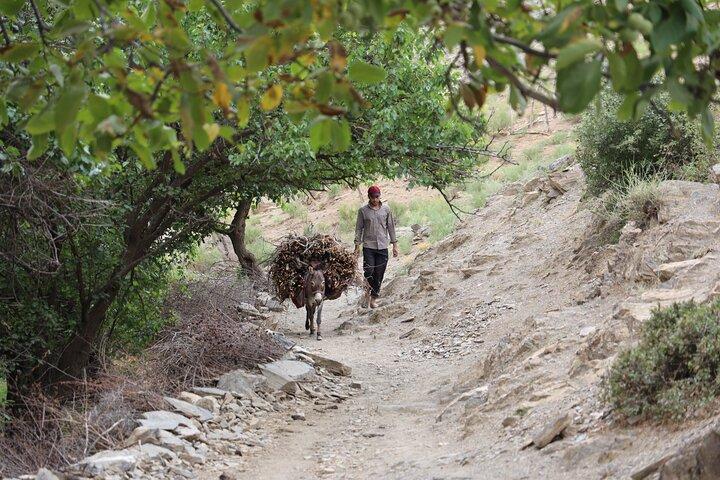 Undiscovered Uzbekistan: Ukhum Village from Samarkand - Photo 1 of 19