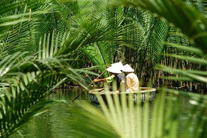 coconut forest