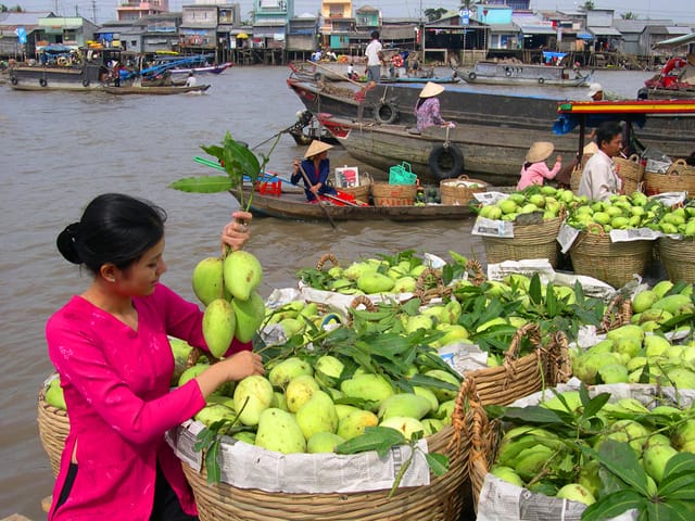 Cai Rang Floating Market and Mekong Delta 2-Day Tour - Photo 1 of 8