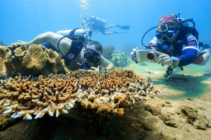  Cham Island Snorkeling,Beach Tour (Hoi An Viet Nam) - Photo 1 of 8