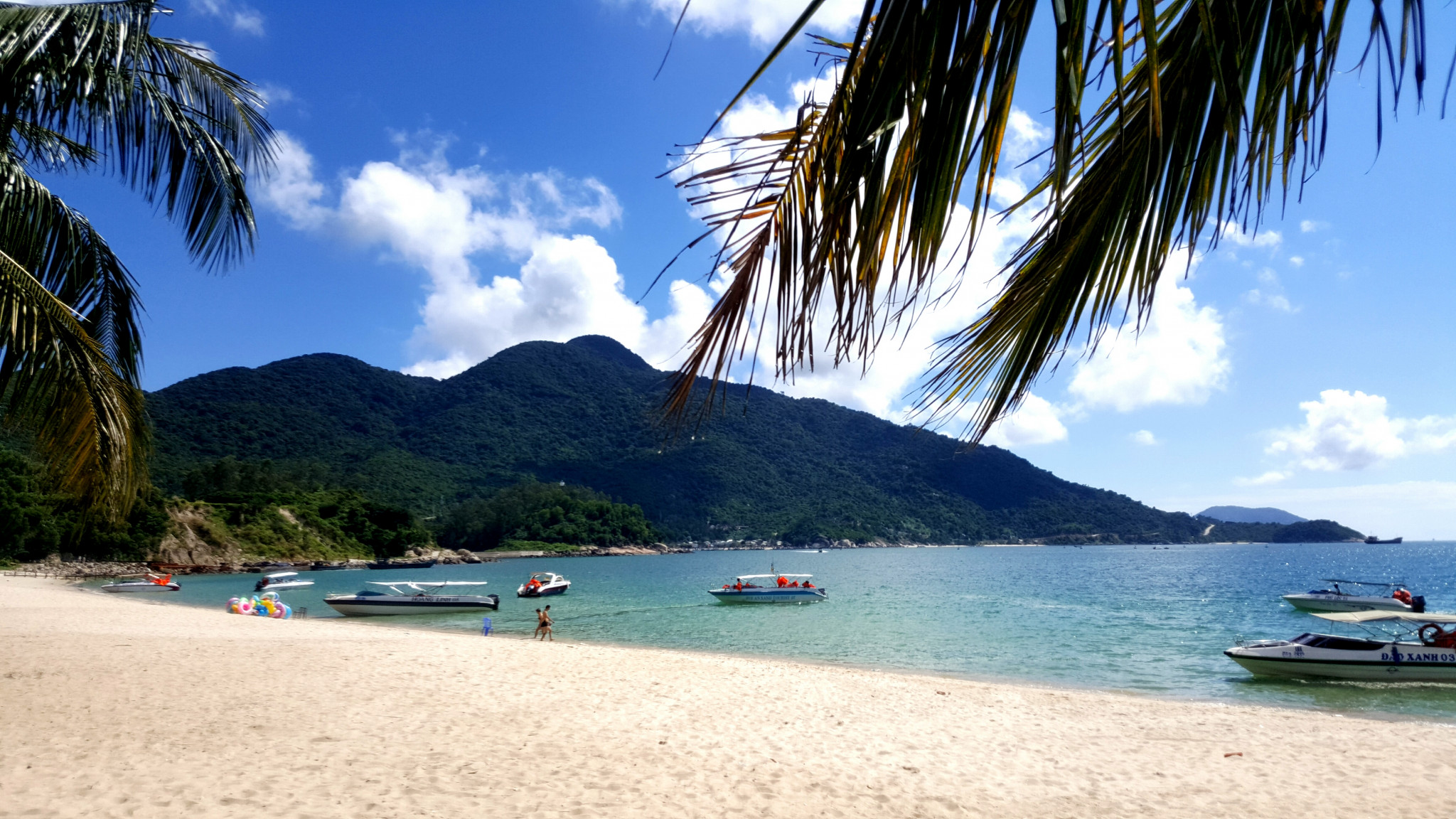 Cham Island Tour from Da Nang - Photo 1 of 11