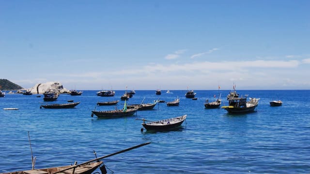 Cham Islands Day Tour from Da Nang or Hoi An - Photo 1 of 7