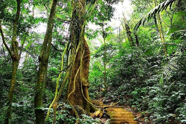 Cuc Phuong national park - Photo 1 of 2