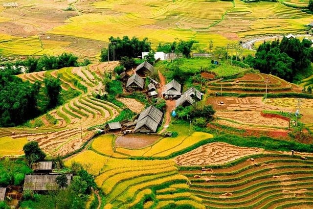 From Sapa: 1 Day Trekking to Terrace field and local Village - Photo 1 of 21