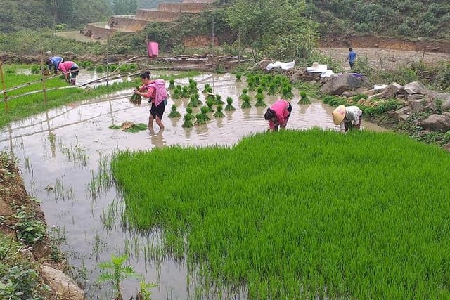 From Sapa: 2 Day Tour Through Villages and Countryside - Photo 1 of 14