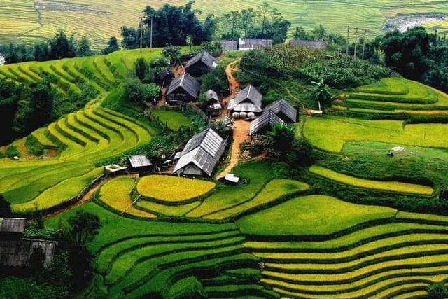 Full Day Tour in Sapa Trekking with Local guide  - Photo 1 of 7