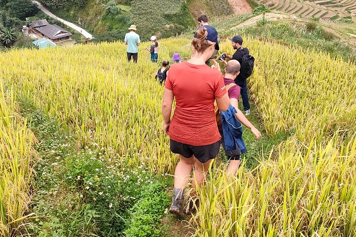 Full Day Trekking Mu Cang Chai - Photo 1 of 25