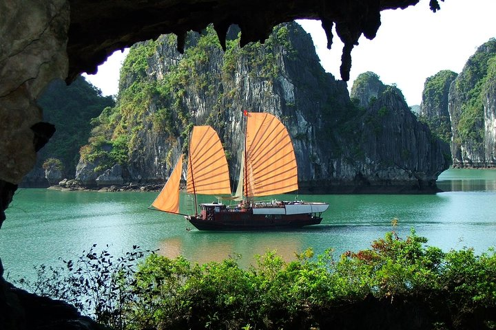 Halong-daily