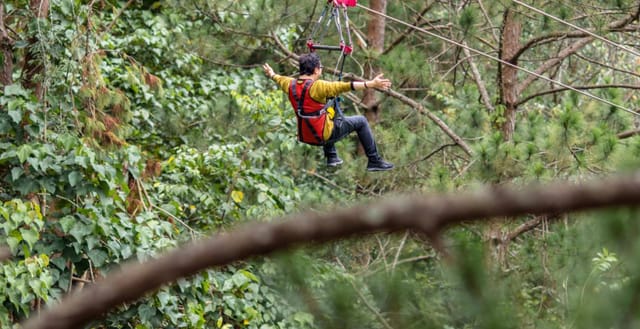 high-rope-course-adventure-in-da-lat-vietnam-pelago0.jpg