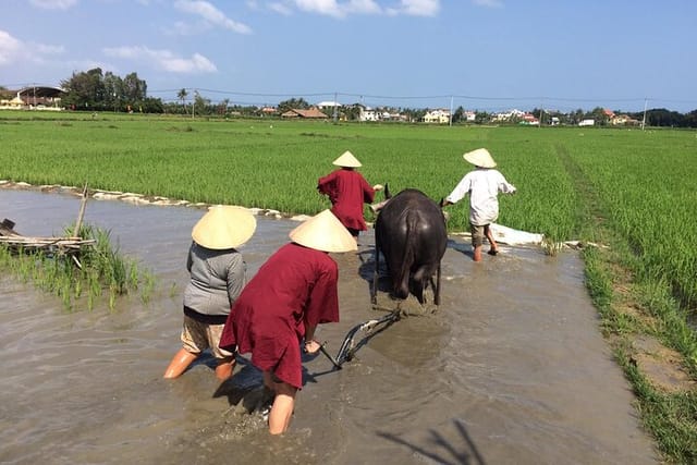 Hoi An Wet Rice Farming Fishing Catching & Basket Boat Tour  - Photo 1 of 7