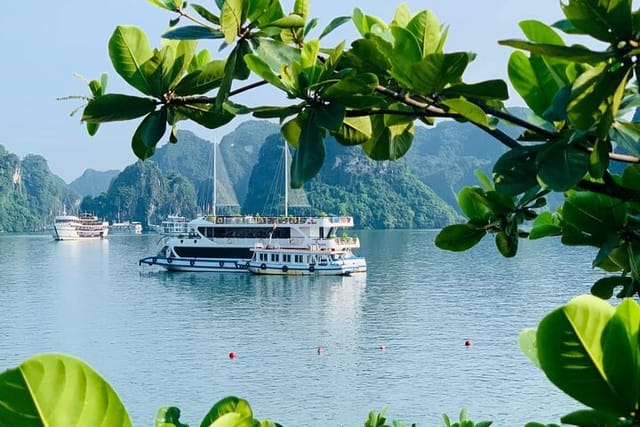 Luxury Halong Bay One Day Tour With Private Car Transfer From Hanoi