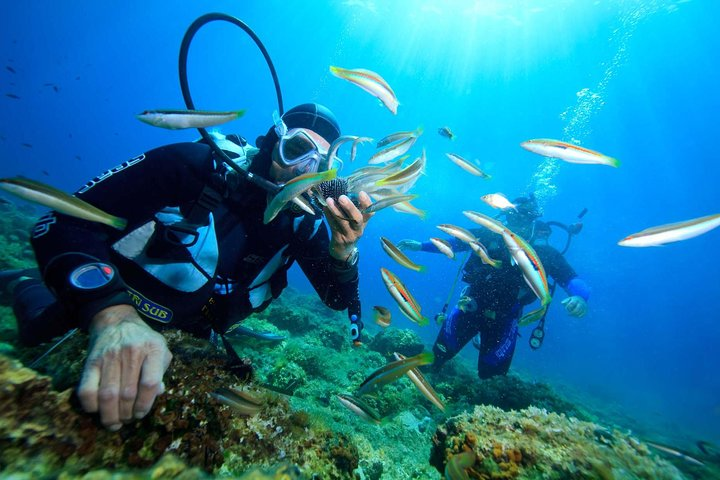 Scube diving Nha Trang