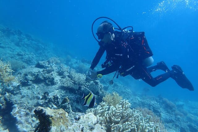 PADI Discover Scuba Diving for Beginners  - Photo 1 of 10