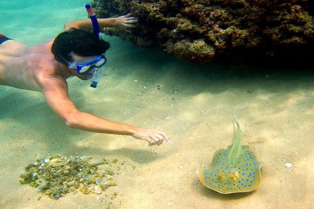 Snorkeling