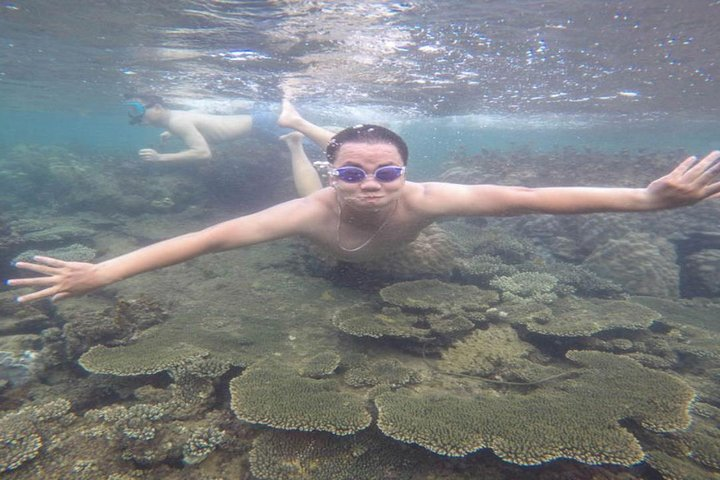 Snorkel to see coral reef