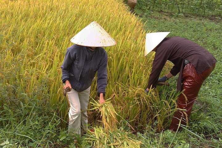 Private Cycling Tour in Rural Hue with Farming Experience - Photo 1 of 9