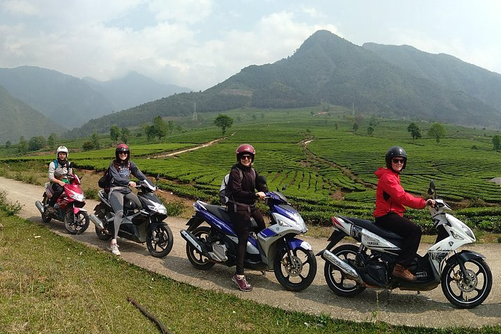 Driving motorbike through tea plantation