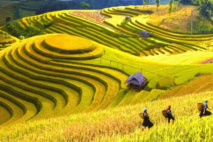 Sapa Most Beautiful Day Tour (Y Linh Ho - Lao Chai - Ta Van) - Photo 1 of 11