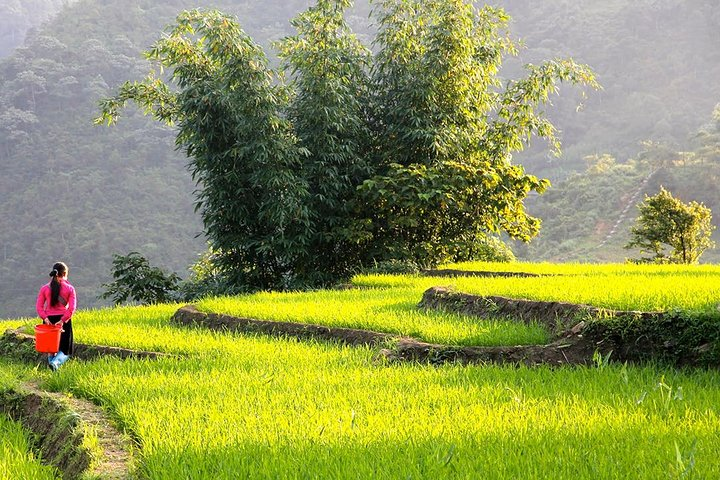 Sapa Valley Trek and Homestay - 3D2N - Photo 1 of 13