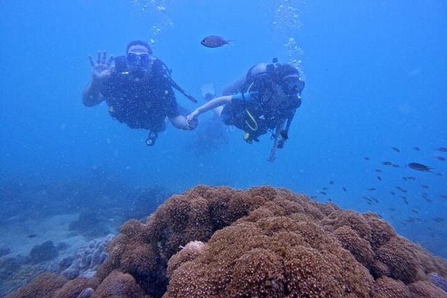 SCUBA DIVING OPTION For Beginners in Phu Quoc Island  - Photo 1 of 7