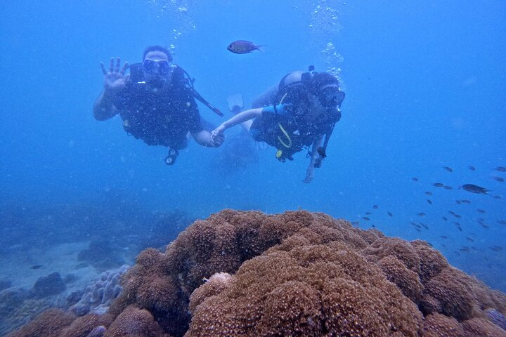 SCUBA DIVING OPTION For Beginners in Phu Quoc Island  - Photo 1 of 7