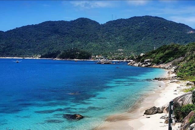 Scuba Diving Tour in Cham Island for certified divers or Beginners - Photo 1 of 7