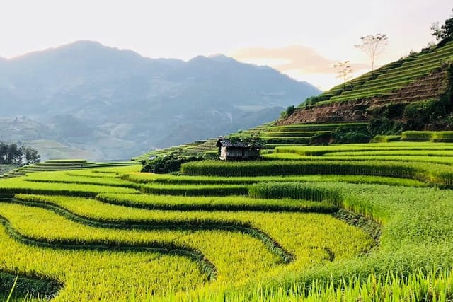 Trekking SaPa 1 Day - the best terraced rice field - Photo 1 of 25