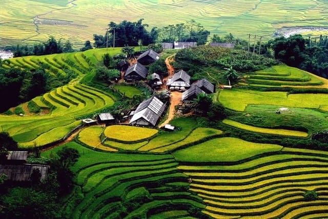 terraced fields