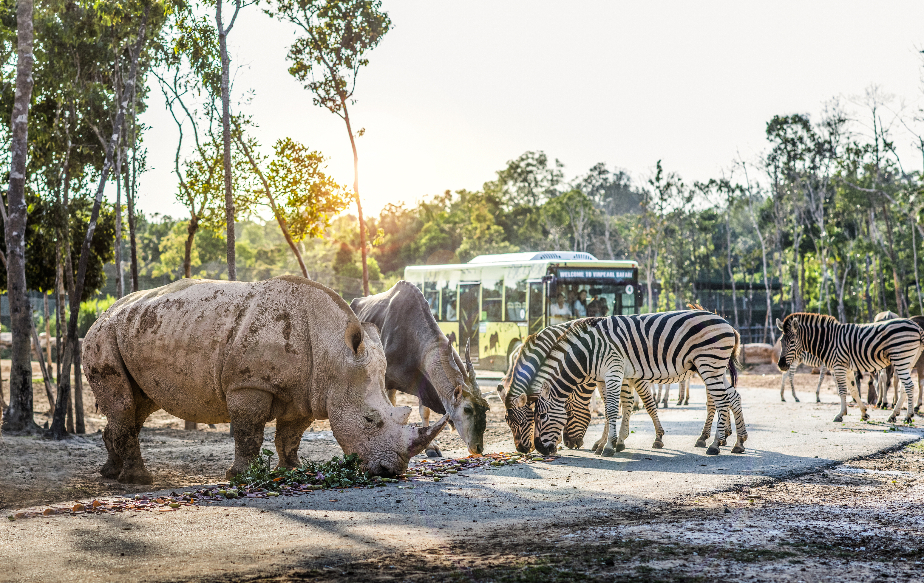 Vinpearl Safari Phu Quoc Tickets - Photo 1 of 13