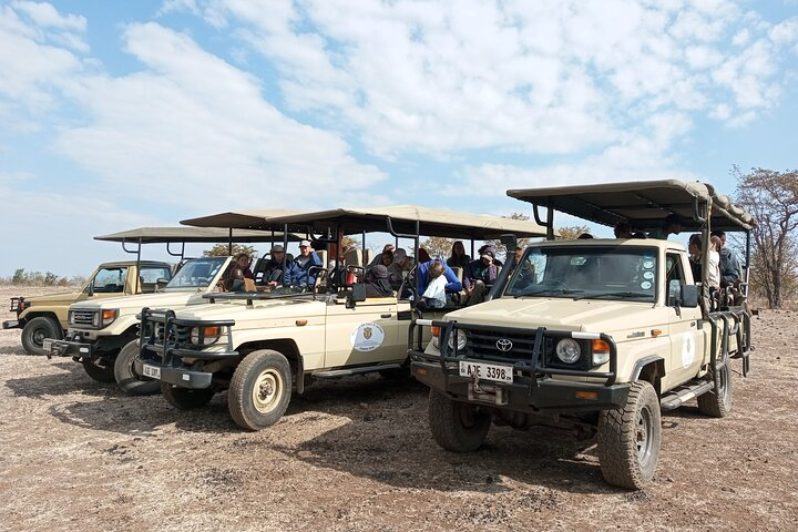 10 Days Private Mobile Safari Tour in Zambia National Parks - Photo 1 of 6