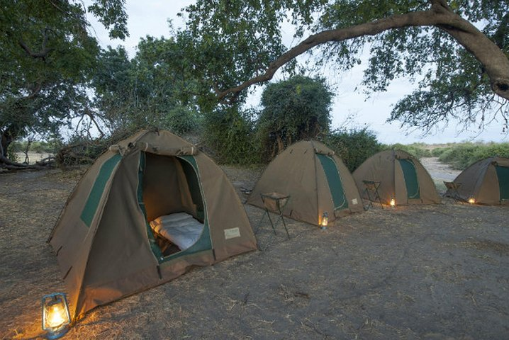 2Days 2 Nights camping safari in Chobe national park,Botswana - Photo 1 of 18