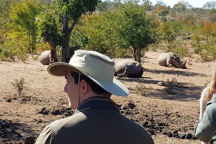 3 Hour Private Tour in Mosi-Oa-Tunya National Park  - Photo 1 of 4