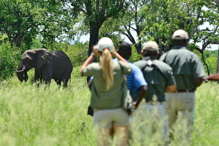 4 Days 3 Nights Victoria Falls Camping Adventure - Photo 1 of 5