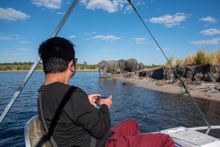 A Private Chobe Full Day Trip -Bostwana  - Photo 1 of 8