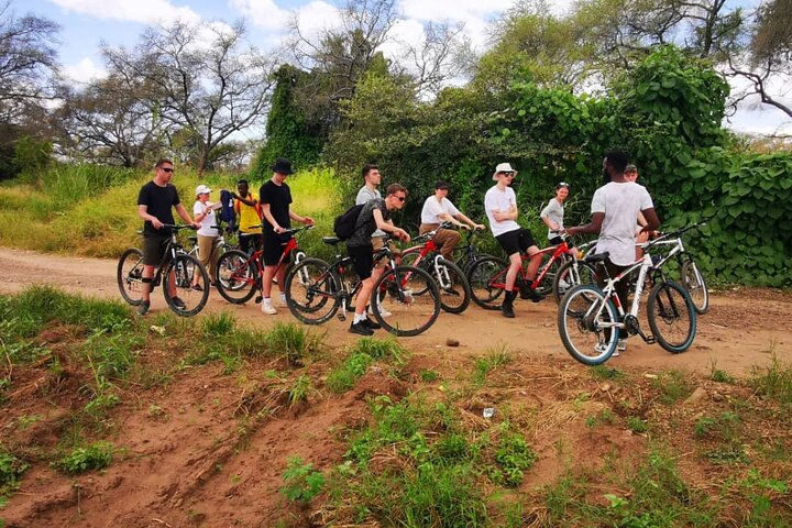 Bicycle Hire - Photo 1 of 7