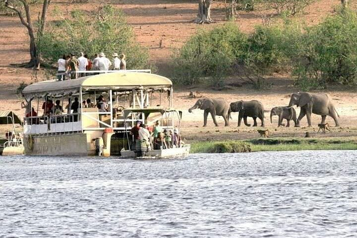 Chobe Day Trip  - Photo 1 of 4