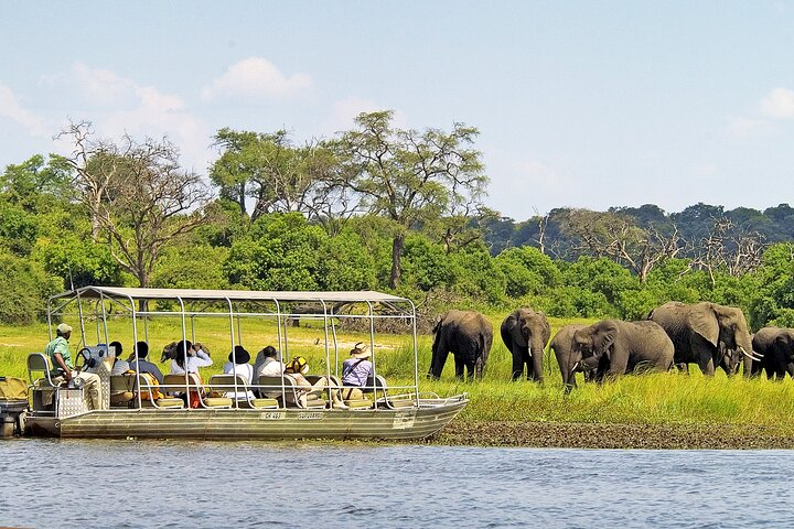 Chobe Day Trip To Botswana From Livingstone - Photo 1 of 20