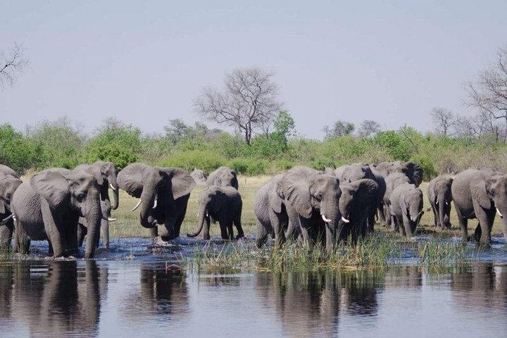 The Chobe National Park ,the home of African big 5.Treat this adventure as a scar in your life that it will be memorable.
be a memorable adventure to your family members.