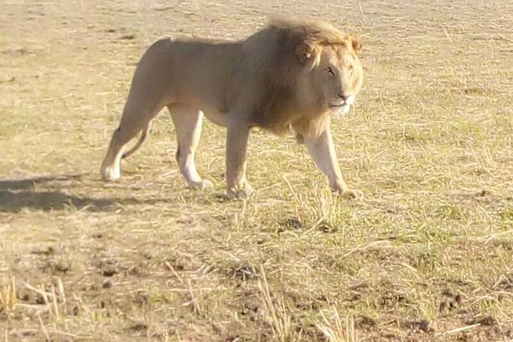 Chobe Full Day Safari - Photo 1 of 8