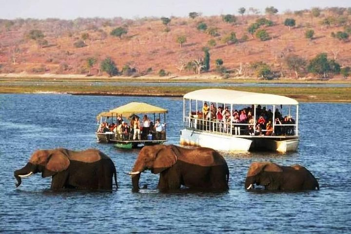 Chobe River Cruise