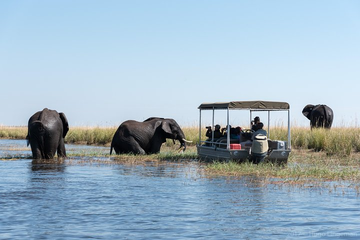 From Livingstone, Victoria Falls or Kasane - Chobe Day Tour - Photo 1 of 6